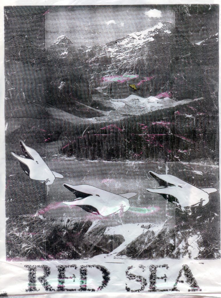 2002 RedSea paper AndreasGehlen 759x1024 - Red Sea